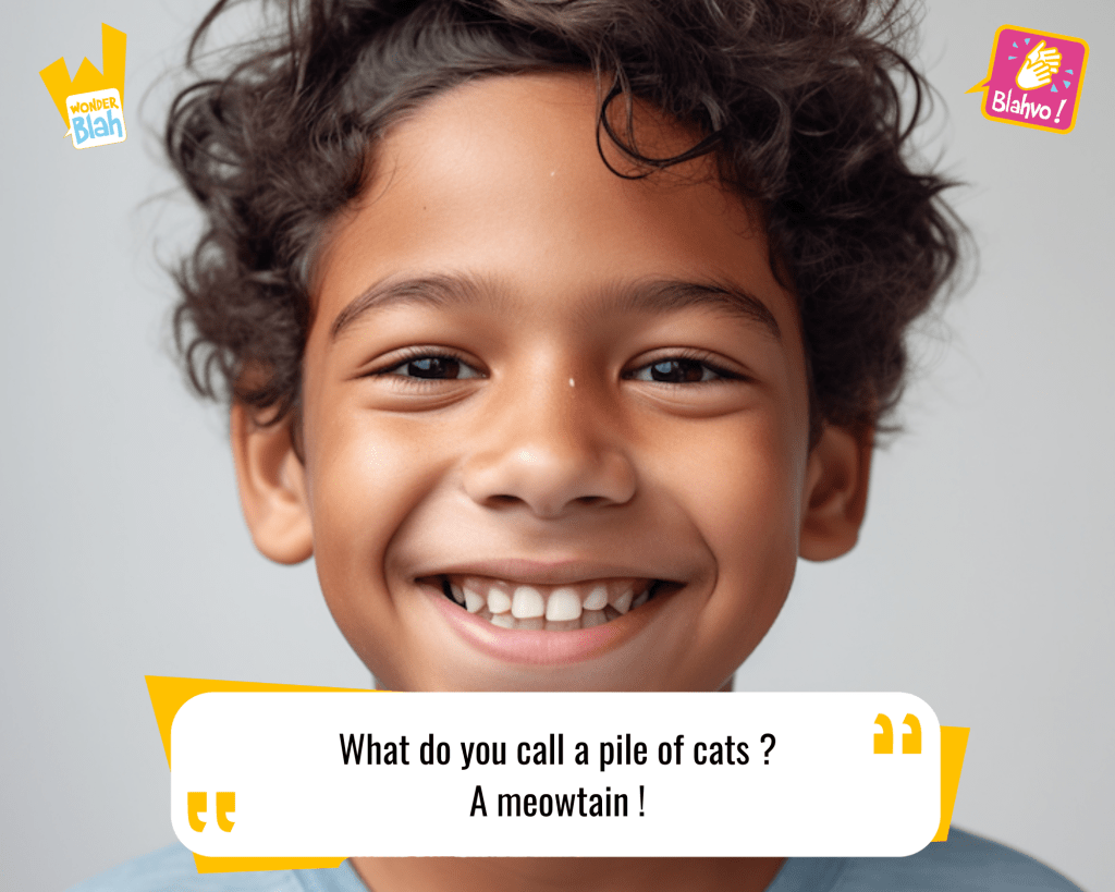 This image represents a Blah - aka a quote, a punchline, a mantra and so on - where a young boy says : "What do you call a pile of cats ? A meowtain !"